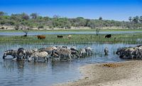 Makgadikgadi Pan van Rinke van Brenkelen thumbnail