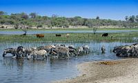 Makgadikgadi Pan