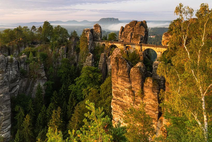 Bastei bridge at sunrise in summer by Daniela Beyer