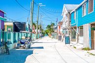 Kleurrijke hoofdstraat op Caye Caulker in Belize van Michiel Ton thumbnail