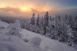 Nebel zieht auf im Harz von Steffen Henze