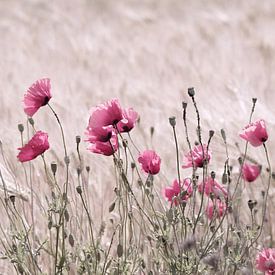 Poppy Field in Pastel Pink van Tanja Riedel
