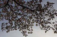 Wunderschönes Herbstbild von Blättern