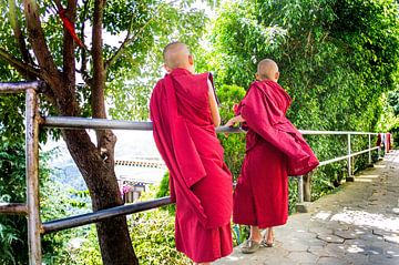 Two young monks by Martin Smit