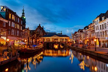 Koornbrug Leiden van Björn van den Berg