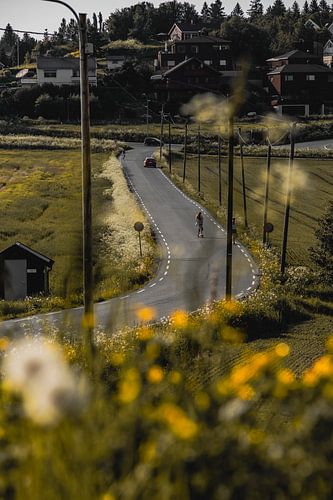 Les routes sinueuses des quartiers au printemps, juste à l'extérieur du centre-ville de Trondheim, en Norvège