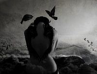 Dreams