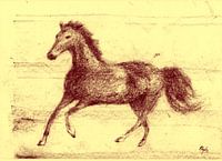 Paard in Draf