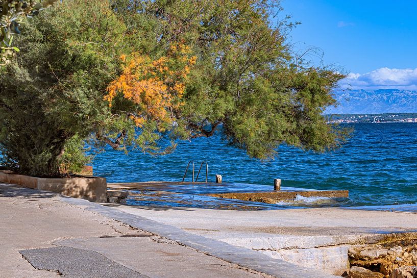 Croatia : Island Ugljan - Preko by Photoart-Naegele