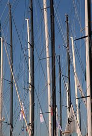 Rechtop in de wind van P.D. de Jong