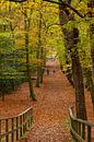 't Oude Hof in Bergen with beautiful trees in autumn colours by René Groeneveld thumbnail