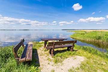 Bank aan het Achterwasser bij Warthe op het eiland Usedom van Rico Ködder