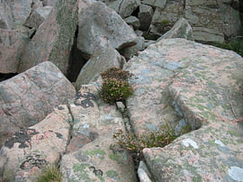 Romantische kustnatuur, Kullaberg, Zweden 7 van Helmut Martin - The Art of Stone - Steinkunst & Photographie