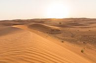 Zandduin in Dubai van Martijn Bravenboer thumbnail