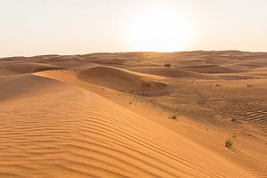 Zandduin in Dubai