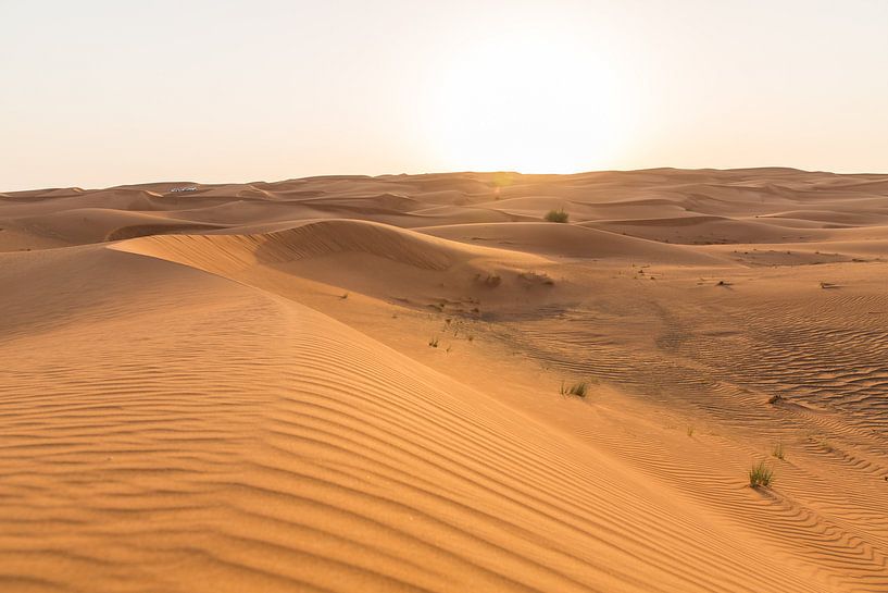 Zandduin in Dubai van Martijn Bravenboer