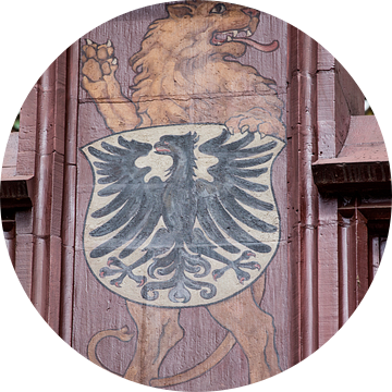 Schild met leeuw boven op dak van het Raadhuis van Bazel in Zwitserland van Joost Adriaanse