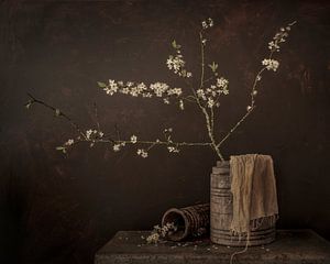 Stilleben. Blumen. Blüte. Neue Meister.
