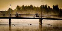 Vroege vogels