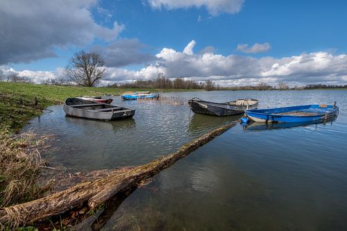 Roeibootjes in meertje