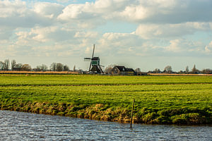 Holländische Windmühle in der Landschaft.