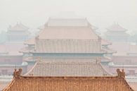 De verboden stad in Peking, China van Dennis Van Den Elzen thumbnail