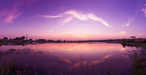 Strabrechtse Heide 128