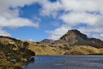 Cajas Nationaal Park, Ecuador van Karsten van Dam