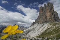 Tre Cime - Italië