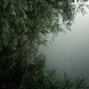 Morgengrün
