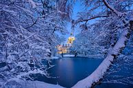 Stadhuis van Hannover in de winter van Michael Abid thumbnail