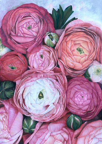 Arleth ranonkel boeket in koud roze