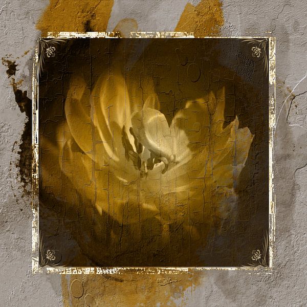 Tulip by Carla van Zomeren