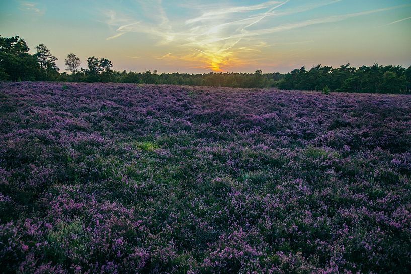 Sunset over the Wezepsche Heide by Stefan Lucassen