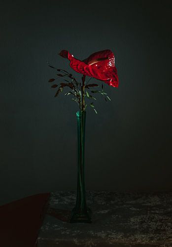 Red Anthurium in long green crystal vase, still life photography