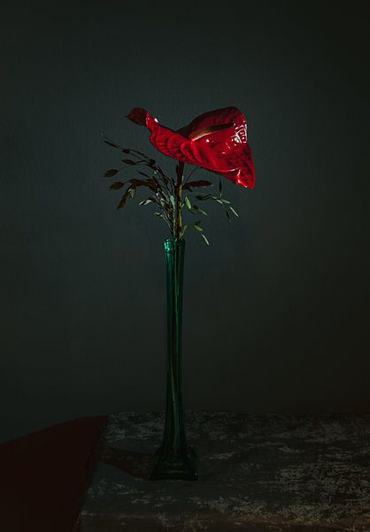 Red Anthurium in langer grüner Kristallvase, Stilleben-Fotografie von Roger VDB