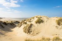 Duin en Strand