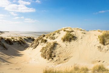Duin en Strand von Michel van Kooten