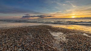 Muscheln am Strand von Den Helder bei einem farbenprächtigen Sonnenuntergang
