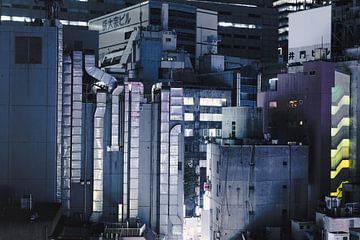 Tokyo Rooftops by Sander Peters