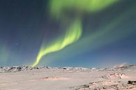 Noorderlicht - IJsland (6) van Tux Photography thumbnail