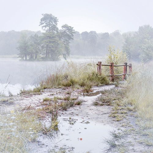 Nebel über dem Moor mit einem Zaun. Oisterwijk.