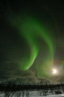 Noorderlicht boven Kilpisjärvi, Finland