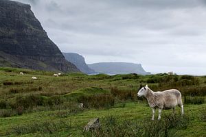 Paysage à Uig Highland