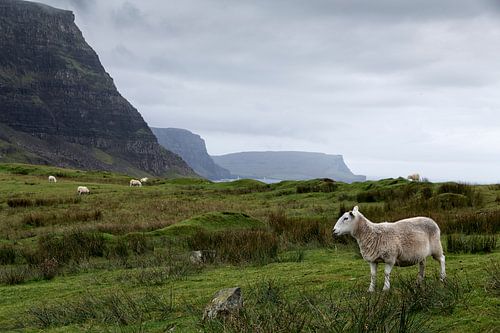 Landscape in Uig Highland