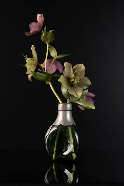 Green vase with hellebores by Gaby Hendriksz