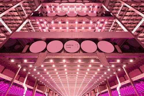 Vertikale Landwirtschaft