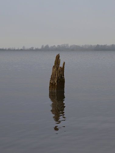 Un brise-lames isolé et brisé dans l'eau
