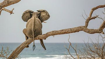 Een olifant geniet van het uitzicht op zee van Klaus Tesching - Art-AI