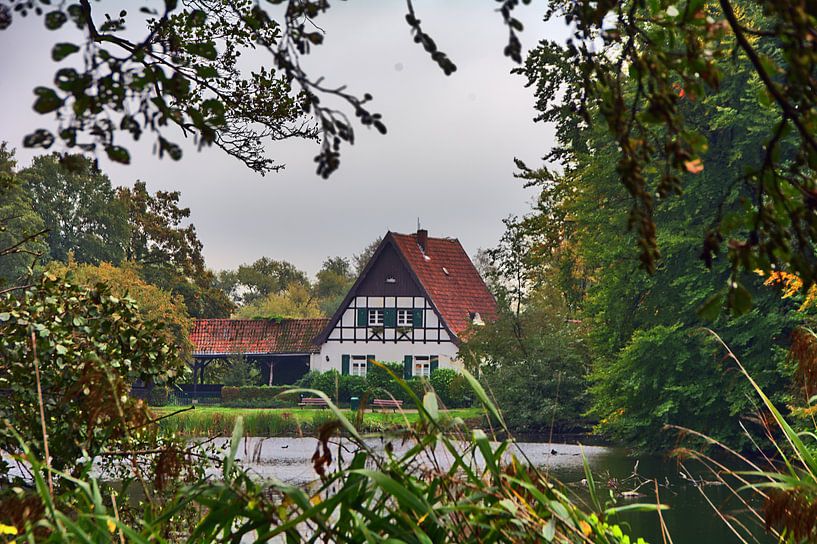 dans les bois de la ville par Edgar Schermaul
